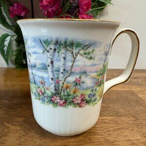 Royal Albert Silver Birch Mug Bone China England – Floral‎ Birch Tree Tea Coffee